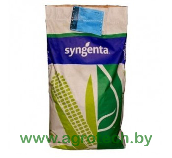 syngenta meshok logo.jpg
