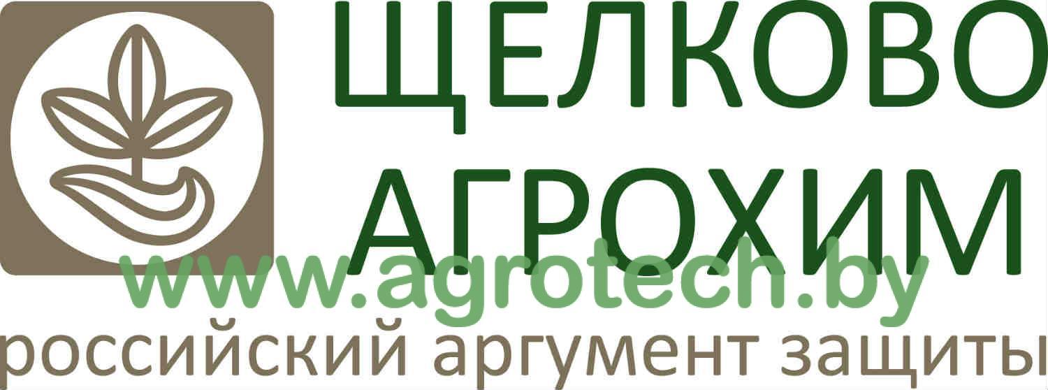 zastavka shhelkovo.jpg