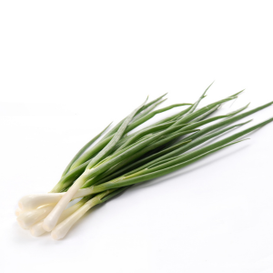 ЛУК НА ПЕРО