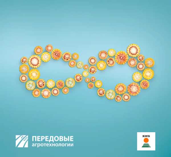 КВС ДЖАЙПУР Передовые Агро Технологии